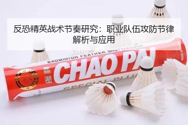反恐精英战术节奏研究：职业队伍攻防节律解析与应用